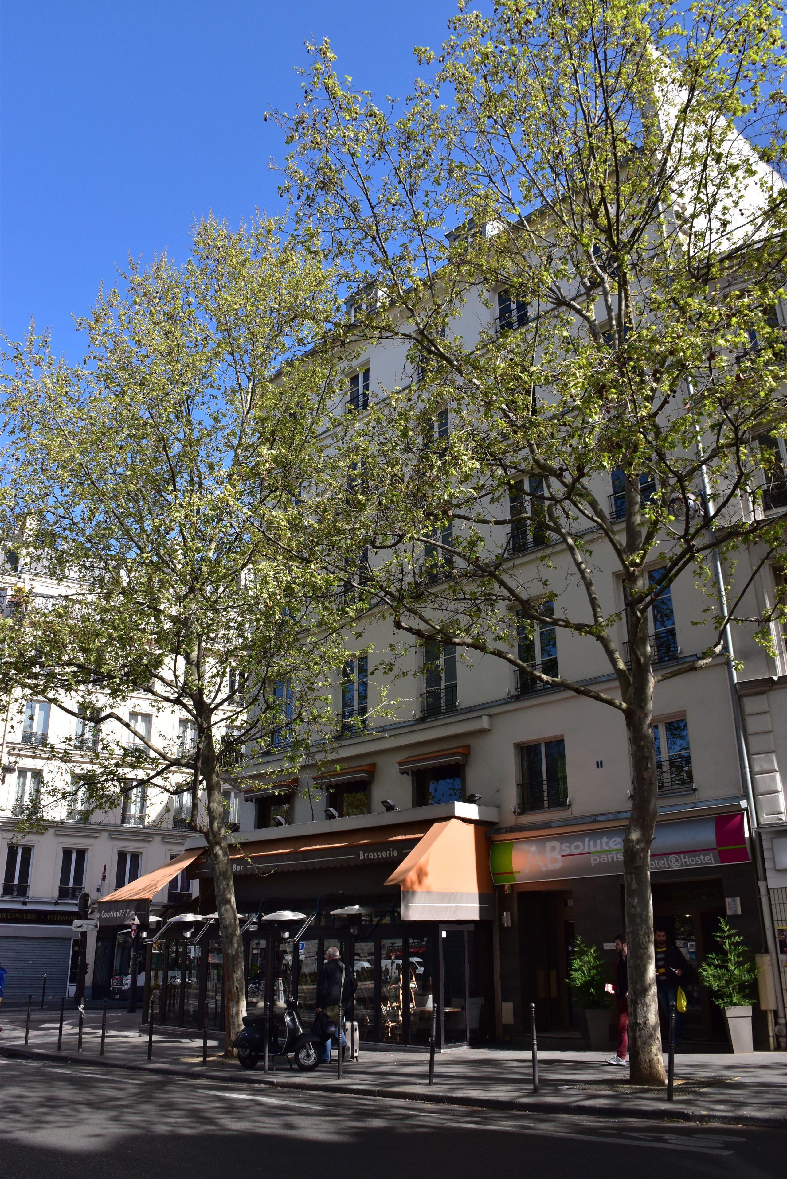 Absolute République